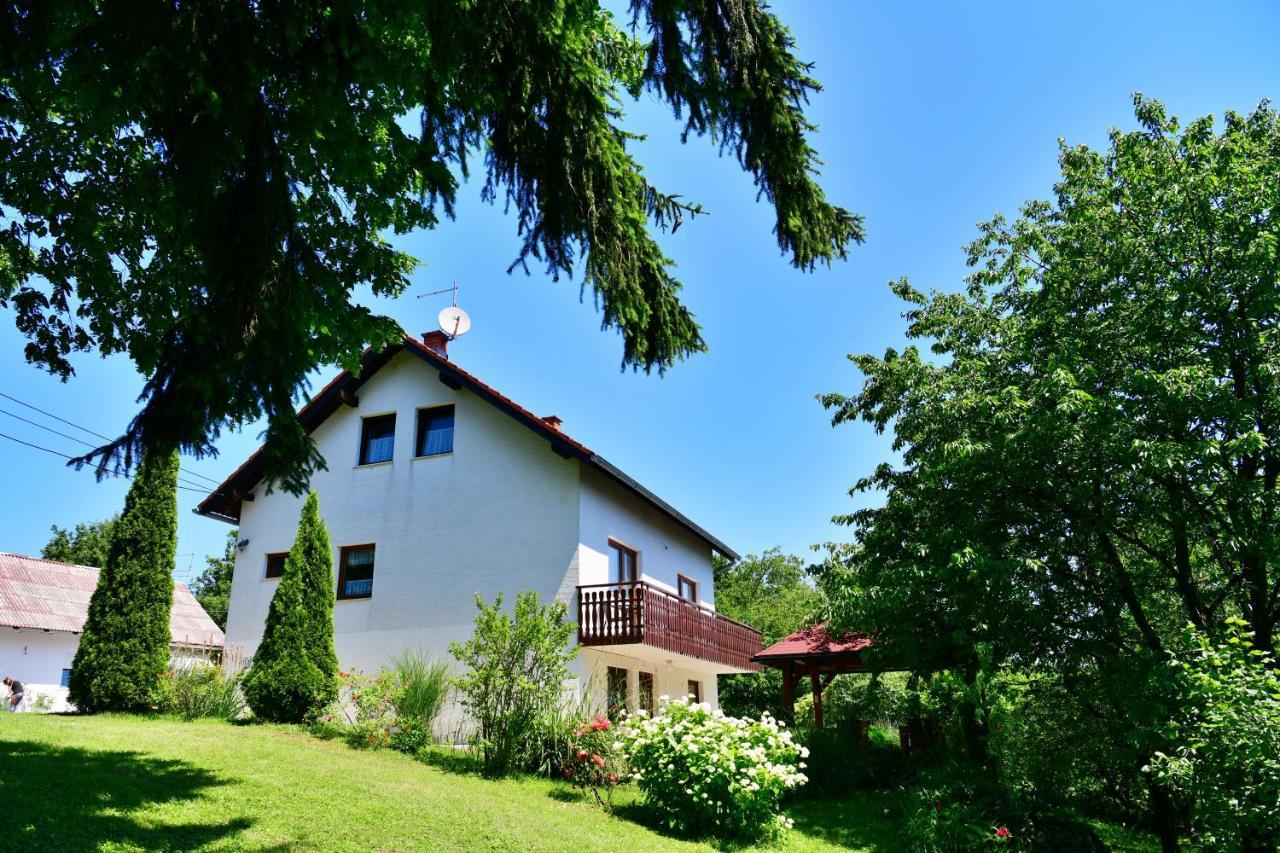Apartment And Rooms Ivancica Seliste Dreznicko Exterior photo